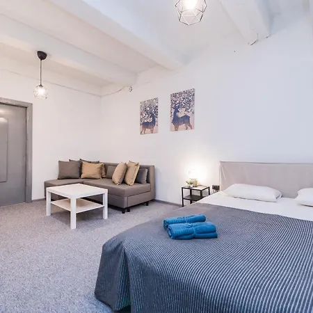 The House Black 旅馆 维尔纽斯