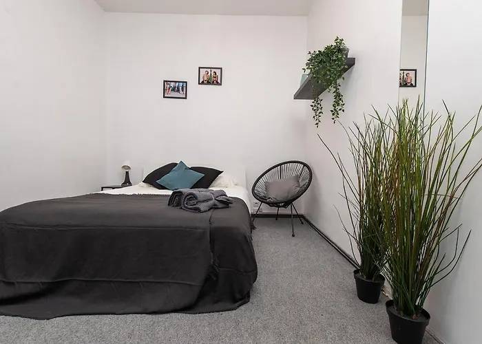 Albergue The House Black