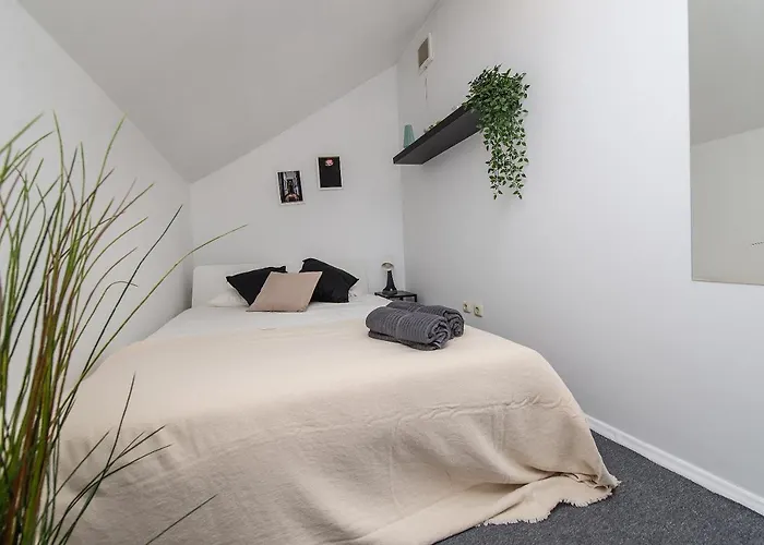 The House Black Hostal *