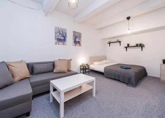 The House Black Albergue Vilnius